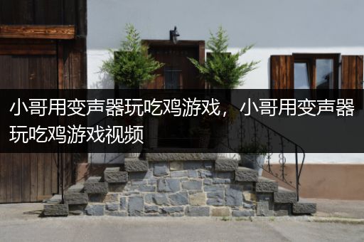 小哥用变声器玩吃鸡游戏，小哥用变声器玩吃鸡游戏视频