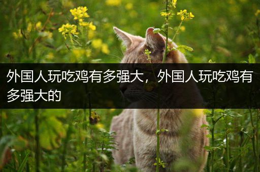 外国人玩吃鸡有多强大，外国人玩吃鸡有多强大的