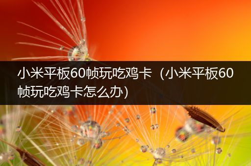 小米平板60帧玩吃鸡卡（小米平板60帧玩吃鸡卡怎么办）