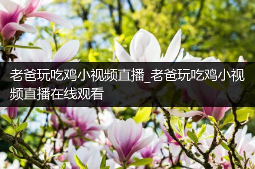 老爸玩吃鸡小视频直播_老爸玩吃鸡小视频直播在线观看