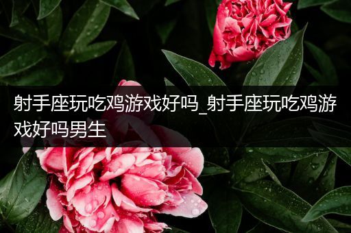 射手座玩吃鸡游戏好吗_射手座玩吃鸡游戏好吗男生