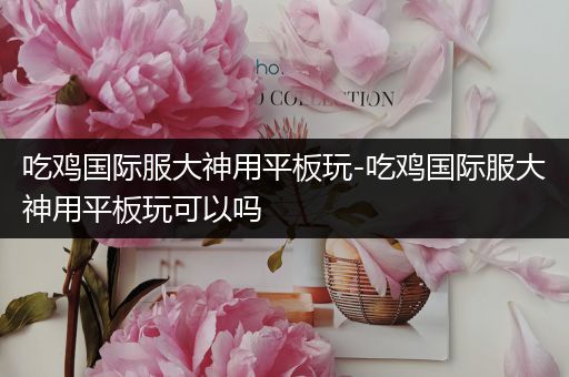吃鸡国际服大神用平板玩-吃鸡国际服大神用平板玩可以吗