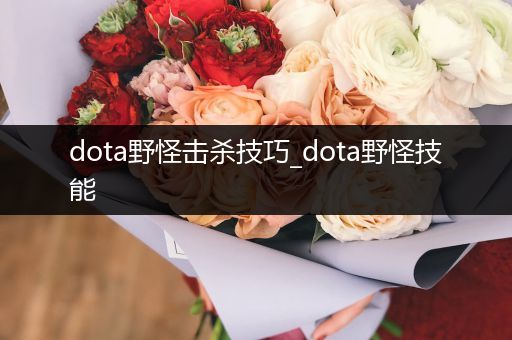dota野怪击杀技巧_dota野怪技能
