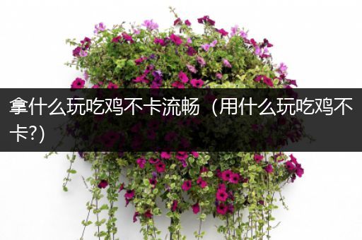 拿什么玩吃鸡不卡流畅（用什么玩吃鸡不卡?）