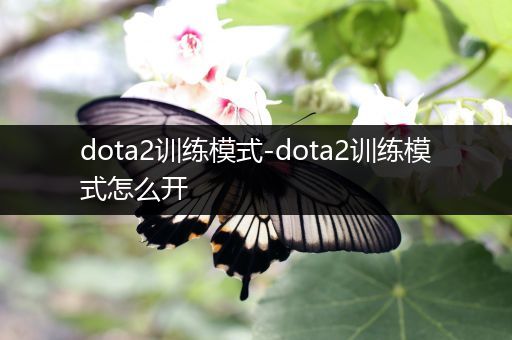 dota2训练模式-dota2训练模式怎么开