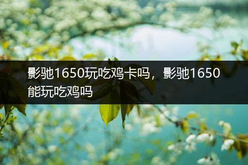 影驰1650玩吃鸡卡吗，影驰1650能玩吃鸡吗