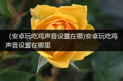 （安卓玩吃鸡声音设置在哪)安卓玩吃鸡声音设置在哪里
