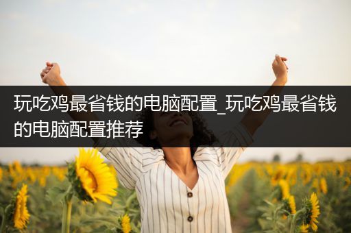 玩吃鸡最省钱的电脑配置_玩吃鸡最省钱的电脑配置推荐