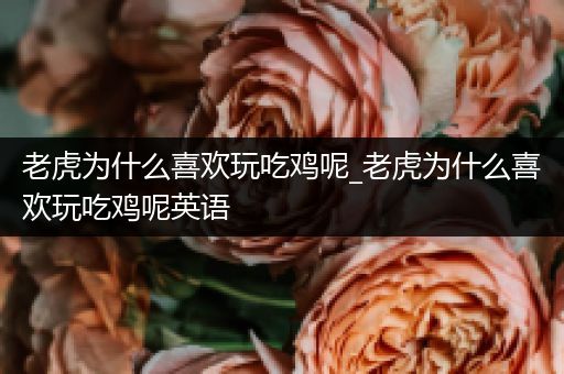 老虎为什么喜欢玩吃鸡呢_老虎为什么喜欢玩吃鸡呢英语
