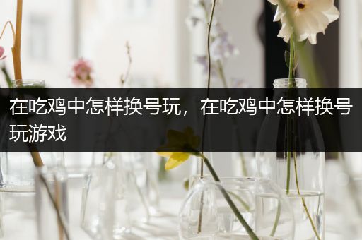 在吃鸡中怎样换号玩，在吃鸡中怎样换号玩游戏