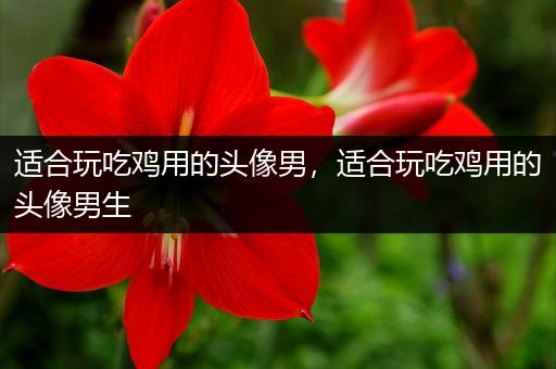 适合玩吃鸡用的头像男，适合玩吃鸡用的头像男生