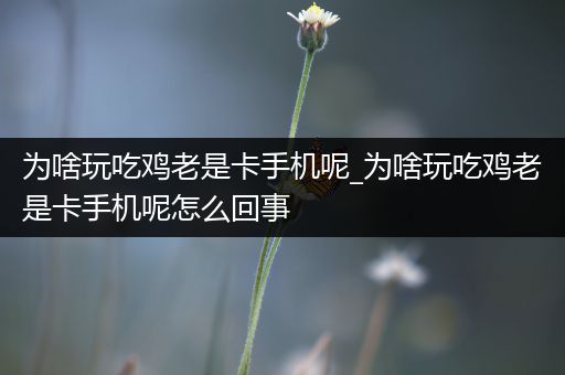 为啥玩吃鸡老是卡手机呢_为啥玩吃鸡老是卡手机呢怎么回事