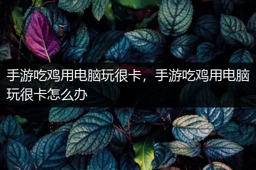 手游吃鸡用电脑玩很卡，手游吃鸡用电脑玩很卡怎么办