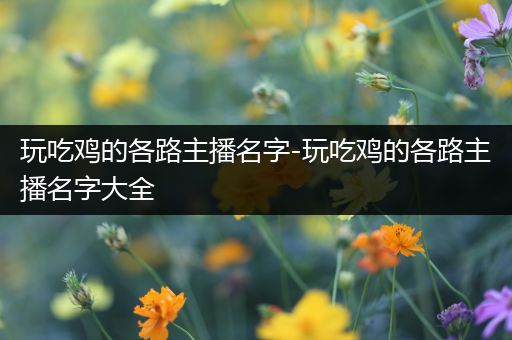 玩吃鸡的各路主播名字-玩吃鸡的各路主播名字大全