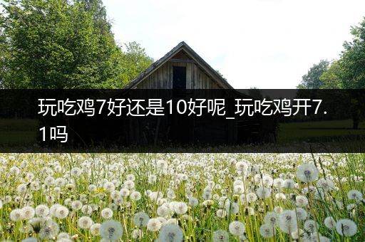 玩吃鸡7好还是10好呢_玩吃鸡开7.1吗