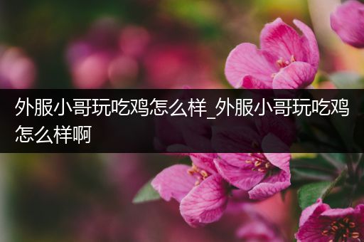 外服小哥玩吃鸡怎么样_外服小哥玩吃鸡怎么样啊