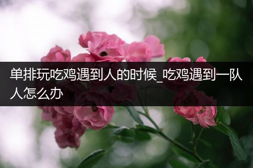 单排玩吃鸡遇到人的时候_吃鸡遇到一队人怎么办