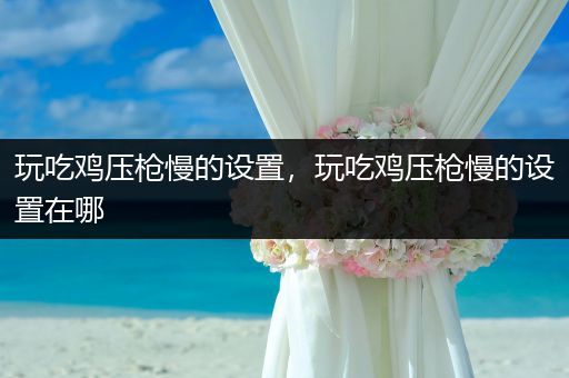 玩吃鸡压枪慢的设置，玩吃鸡压枪慢的设置在哪