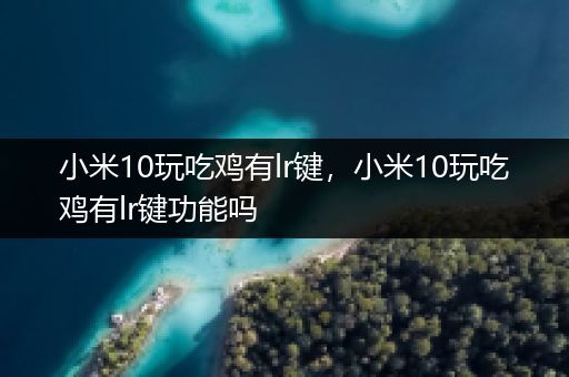 小米10玩吃鸡有lr键，小米10玩吃鸡有lr键功能吗