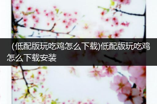 （低配版玩吃鸡怎么下载)低配版玩吃鸡怎么下载安装