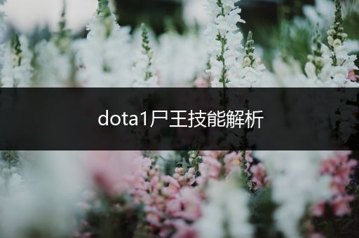dota1尸王技能解析