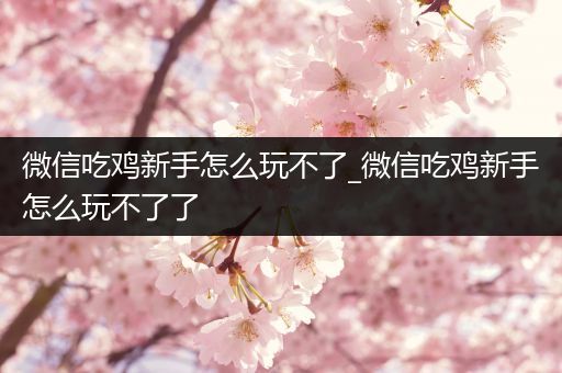 微信吃鸡新手怎么玩不了_微信吃鸡新手怎么玩不了了