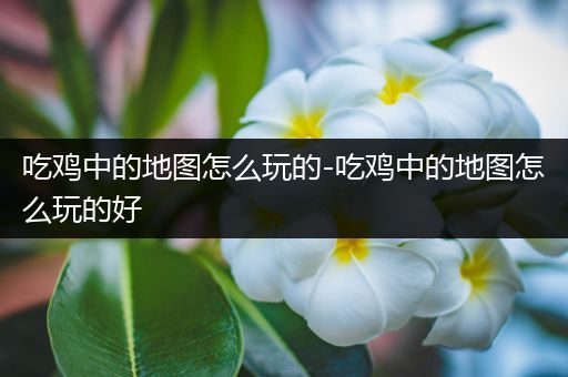 吃鸡中的地图怎么玩的-吃鸡中的地图怎么玩的好