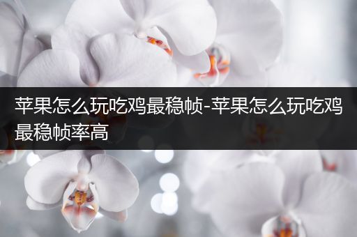 苹果怎么玩吃鸡最稳帧-苹果怎么玩吃鸡最稳帧率高