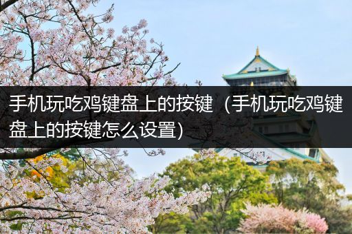 手机玩吃鸡键盘上的按键（手机玩吃鸡键盘上的按键怎么设置）