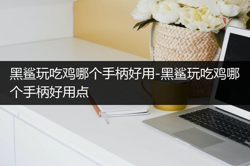 黑鲨玩吃鸡哪个手柄好用-黑鲨玩吃鸡哪个手柄好用点
