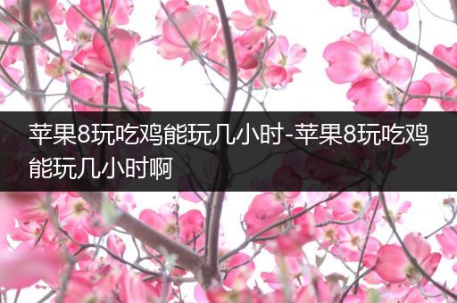 苹果8玩吃鸡能玩几小时-苹果8玩吃鸡能玩几小时啊