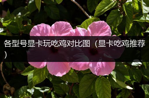 各型号显卡玩吃鸡对比图（显卡吃鸡推荐）