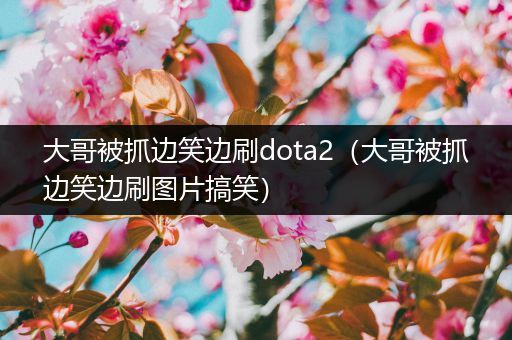 大哥被抓边笑边刷dota2（大哥被抓边笑边刷图片搞笑）
