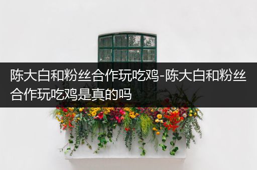 陈大白和粉丝合作玩吃鸡-陈大白和粉丝合作玩吃鸡是真的吗
