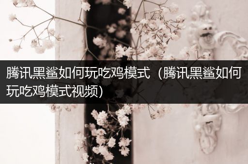 腾讯黑鲨如何玩吃鸡模式（腾讯黑鲨如何玩吃鸡模式视频）