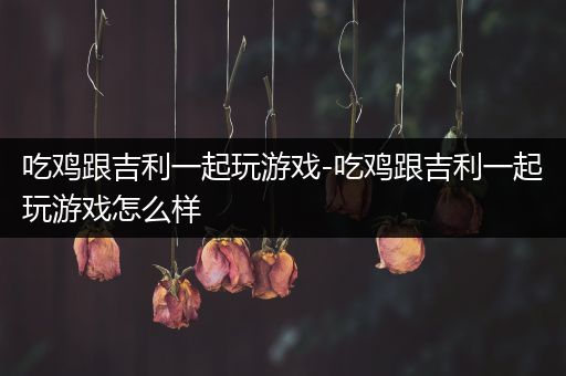 吃鸡跟吉利一起玩游戏-吃鸡跟吉利一起玩游戏怎么样