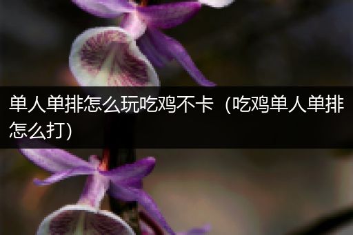 单人单排怎么玩吃鸡不卡（吃鸡单人单排怎么打）