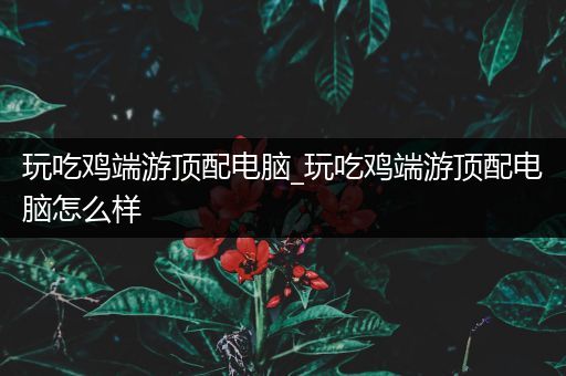 玩吃鸡端游顶配电脑_玩吃鸡端游顶配电脑怎么样