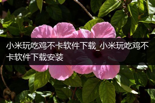 小米玩吃鸡不卡软件下载_小米玩吃鸡不卡软件下载安装