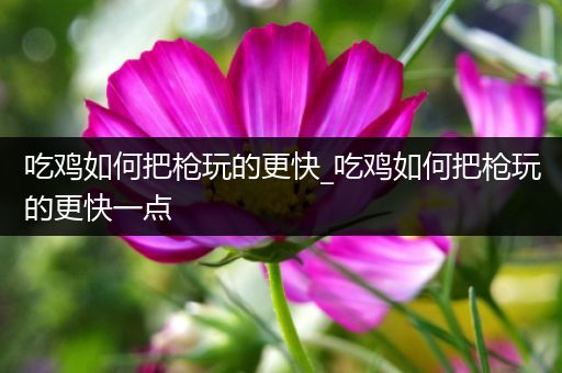 吃鸡如何把枪玩的更快_吃鸡如何把枪玩的更快一点