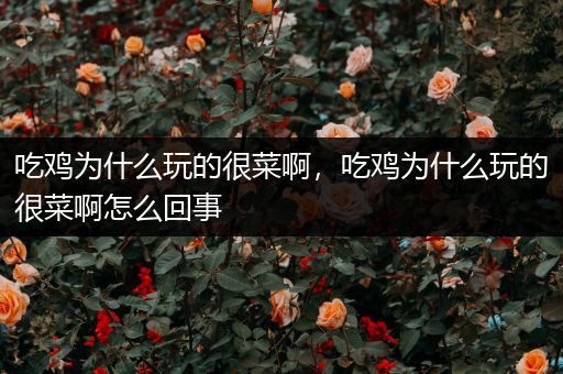 吃鸡为什么玩的很菜啊，吃鸡为什么玩的很菜啊怎么回事