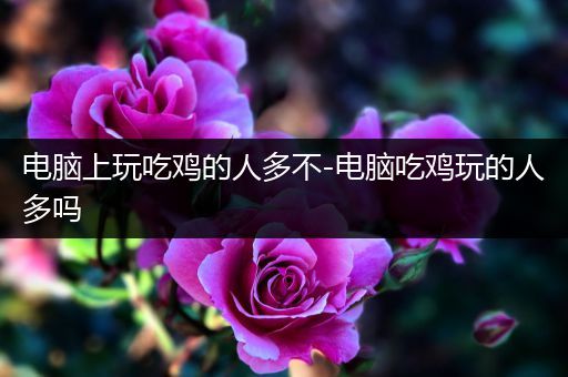 电脑上玩吃鸡的人多不-电脑吃鸡玩的人多吗