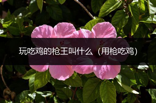 玩吃鸡的枪王叫什么（用枪吃鸡）