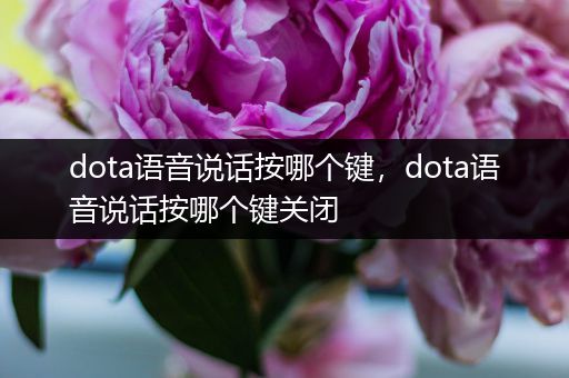 dota语音说话按哪个键，dota语音说话按哪个键关闭