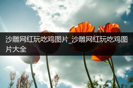 沙雕网红玩吃鸡图片_沙雕网红玩吃鸡图片大全