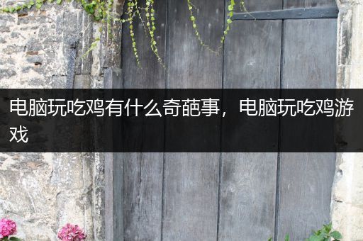 电脑玩吃鸡有什么奇葩事，电脑玩吃鸡游戏
