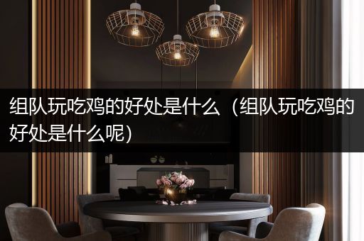 组队玩吃鸡的好处是什么（组队玩吃鸡的好处是什么呢）