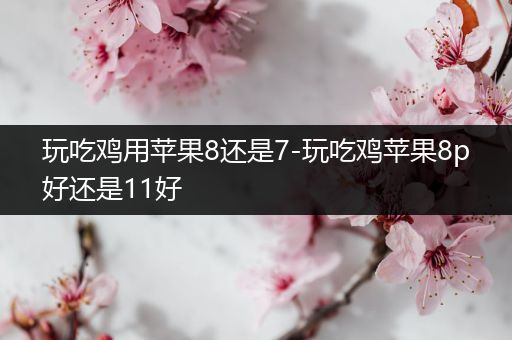 玩吃鸡用苹果8还是7-玩吃鸡苹果8p好还是11好