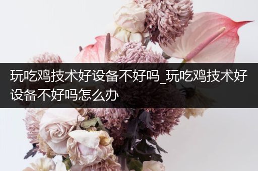 玩吃鸡技术好设备不好吗_玩吃鸡技术好设备不好吗怎么办