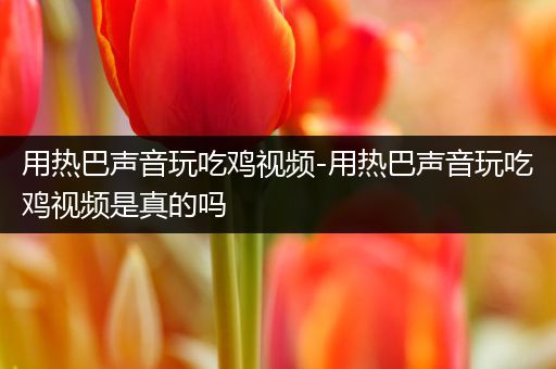 用热巴声音玩吃鸡视频-用热巴声音玩吃鸡视频是真的吗